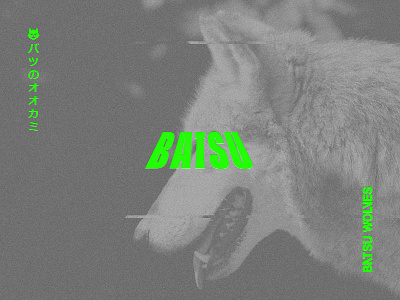 Batsu – 04 batsu experiment glitchy gray green neon play scan vhs wavy wolf wolves