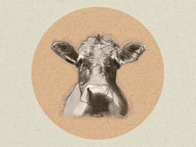 Don't have a cow animal blog post cow illustration rainypixels