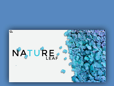 leaf nature blue