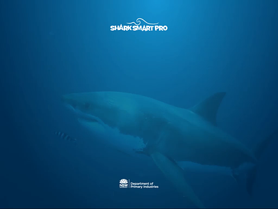 SharkSmart Pro - Login screen with video creative ipad app ipad pro mobileapp ui uidesign uxui webdesign