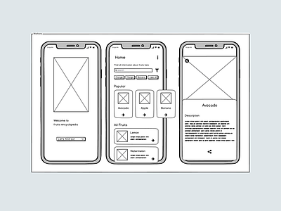 Fruits Encyclopedia - Wireframe