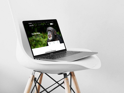 Zoo Homepage concept design animals biodiversity conservation hero homepage nature webdesign zoo