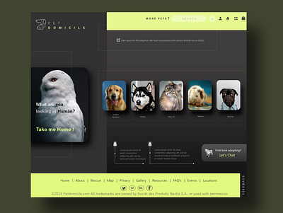 Animal Adoption website design branding design ui ui ux ux web website website design