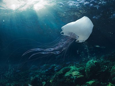 plastic jellyfish 3d 3d art blender cg cgart cgi computergraphics earth illustration integration jellyfish lighting microplastic ocean photoshop planet plastic plastic bag shading underwater