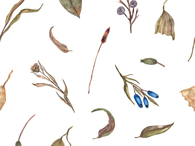 watercolor pattern. summer herbs