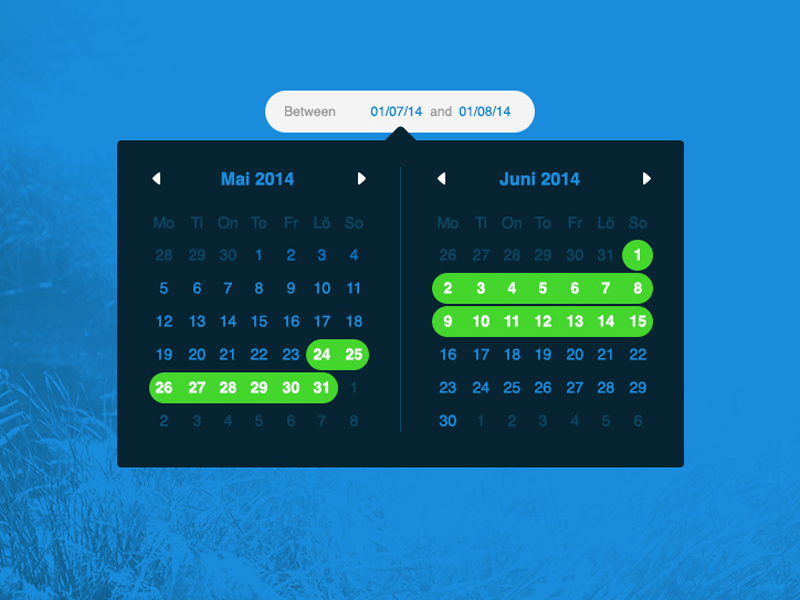 Date Picker date time schedule calendar ui ux details span week month