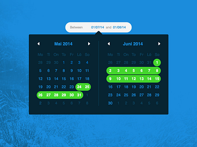 Date Picker calendar date details month schedule span time ui ux week
