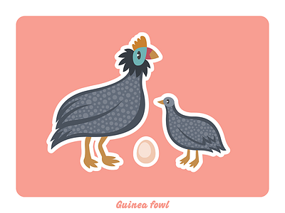 Animal farm: Guinea fowl illustration vector