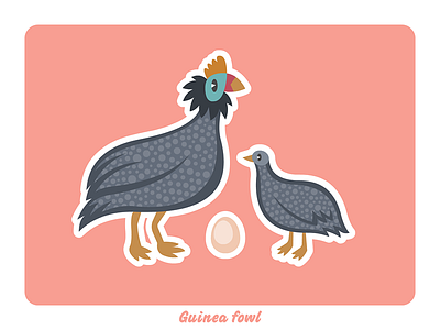 Animal farm: Guinea fowl