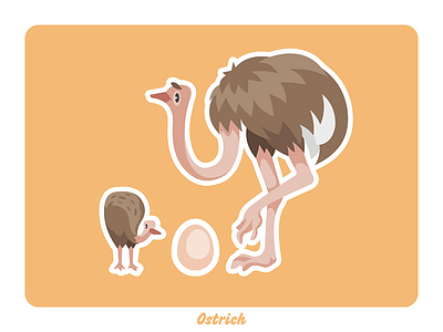 Animal farm: Ostrich