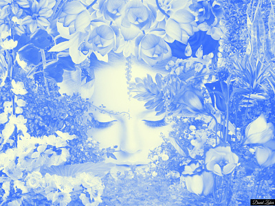 Amongst the flowers / part 3 collage collageart flowers