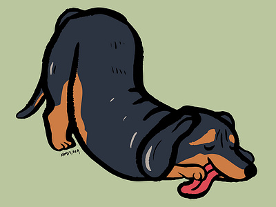 Dachshund stretching