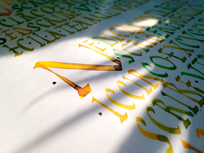 "N" alphabet artwork branding calligraphy calligraphy artist calligraphy logo color design handlettering handwriting ink typography