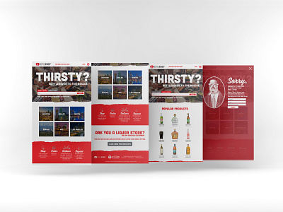 BottleRover Web Design design digital ui ux web design website