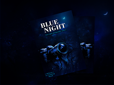 BLUE NIGHT app branding design icon identity illustration logo mobile typography vector website