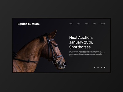 Horse Auction