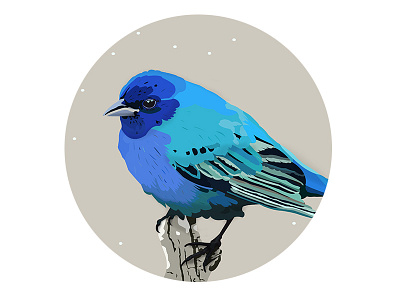 Winter Birds - blue