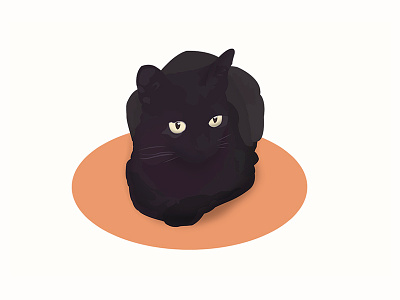 Mo the cat animal black cat colors flat illustration illustrator pet vector