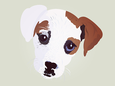 Pipoca! animal colors design dog flat illustration jack russell pet puppy round shape vector
