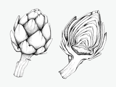 Artichoke Study : Ink