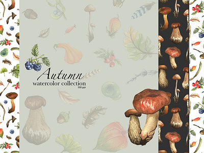 Autumn watercolor collection autumn backing berries clipart collection design flora forest illustration logo mushroom nature pattern set wallpaper watercolor wrapping paper