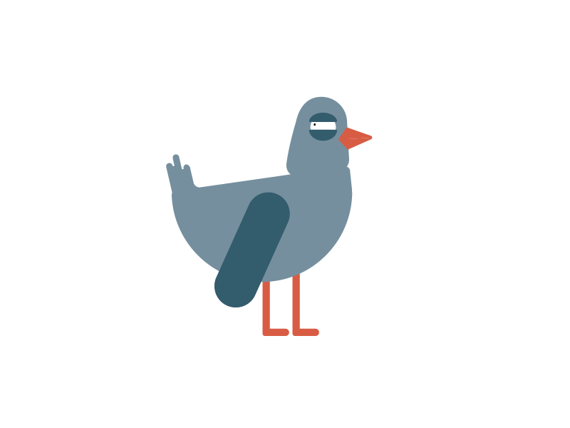 pigeon animation fun illustration pigeons