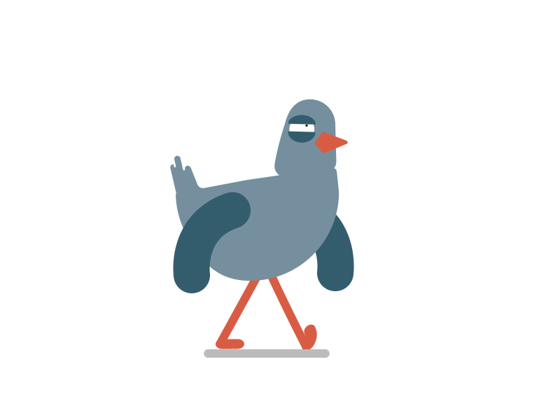 Finally walking pigeon design illustration pigeons