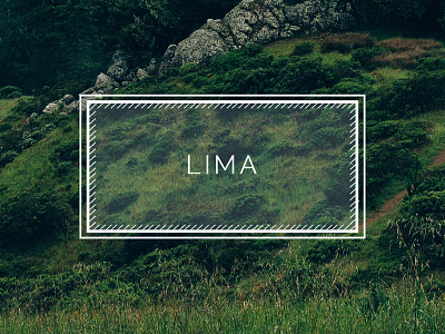 Lima Label