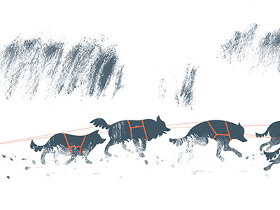 Sled dogs dogs huskies illustration texture