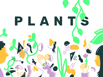 plants