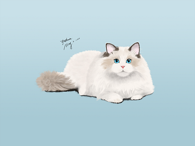 CAT illustration