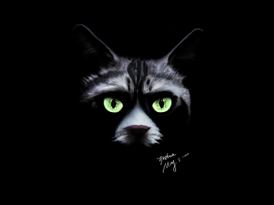 CAT animal cat illustration impasto photoshops