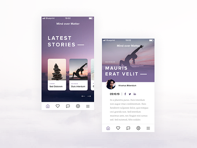 Wellness App Concept