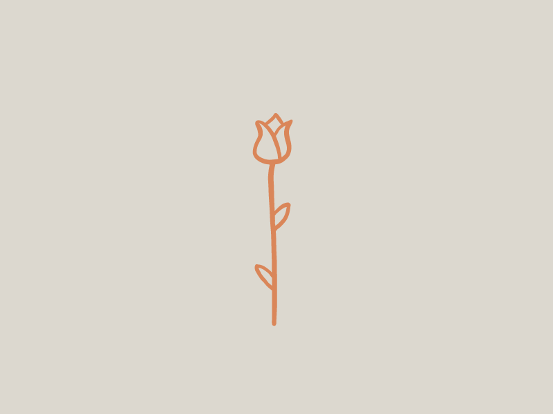 Rose Illustration by Luke Holloway on Dribbble