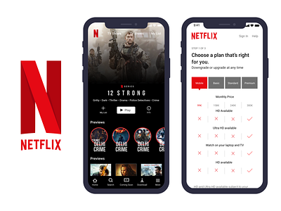 NETFLIX - home screen and subscription plane