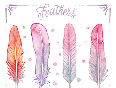 Feathers stickers illustration sticker watercolor