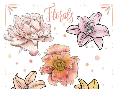 Florals sticker pack botanical digital floral illustration watercolor