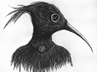 Toth bird blackandwhite blackwork characterdesign digitalart digitaldraw drawing egypt god illustration procreate toth