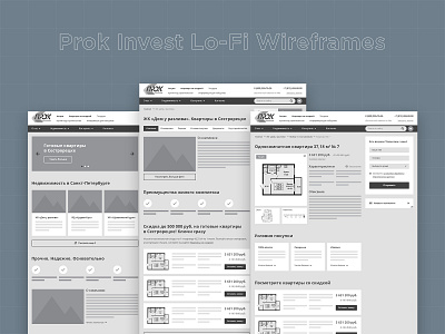 Prok Invest Lo-Fi Wireframes prototyping realty ui ux web design wireframes
