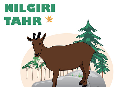 Nilgiri Tahr design goat illustration india mountain trees