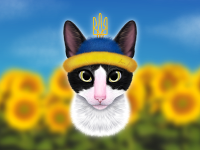 Ukrainian cat - Leon animal art cat design digital drawing illustration procreate sweet sweetcat ukraine