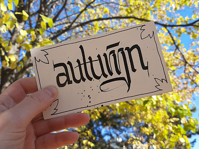 Autumn is almost over!