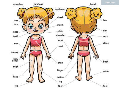 My body parts for a girl, cartoon visual dictionary for children by Ksenya  Savva on Dribbble