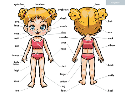 My body parts for a girl, cartoon visual dictionary for children adobe illustrator anatomy body cartoon character children cute dictionary education english for kids girl illustration language medicine parts poster preschool vector visual