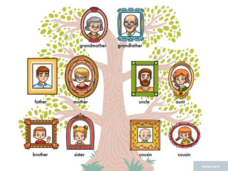 Vector cartoon family tree, visual dictionary of family members by Ksenya  Savva on Dribbble