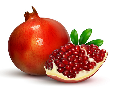 pomegranate vector ad advertising antioxidant background berry botanical branch chip closeup collection cork couple cut eating food fresh fruit garnet pomegranate realistic
