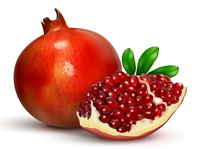 pomegranate vector