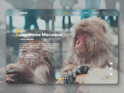 Animal Website animal animals design minimal type typography ui ux web website