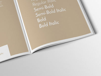 Alisa Parveen brand branding guidelines identity jony logo print print design style guide type