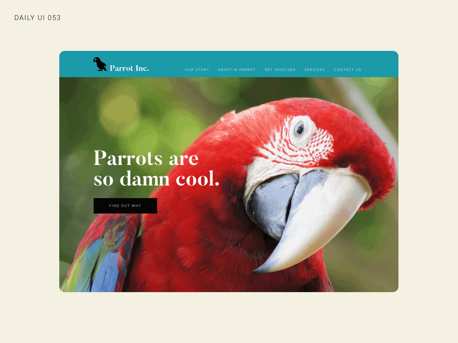 Daily UI 053 - Header Navigation bird birds daily ui daily ui 053 daily ui 53 dailyui header parrot ui ux